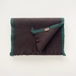Folded dark chocolate brown cashmere scarf with teal green contrast edges and short fringed ends.