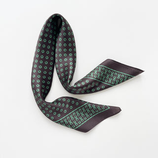 Luxurious silk scarf in brown with green horseshoe pattern, elegantly draped to showcase its smooth texture and border design on white background
